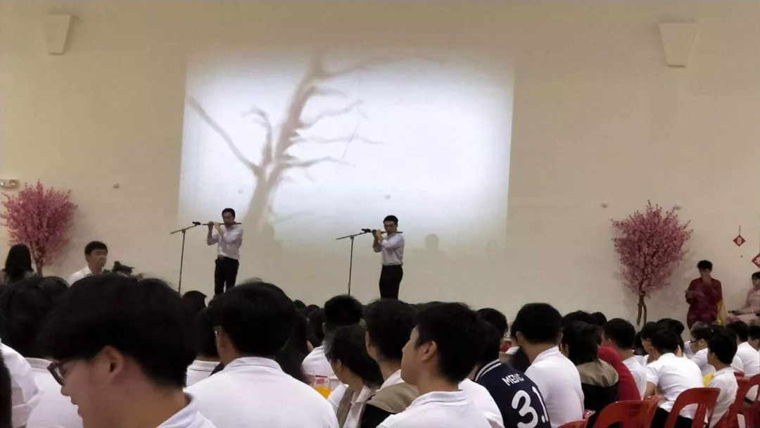 新加坡这间国际学校的逆天IB成绩是怎么炼成的