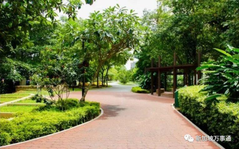 坡岛竟深藏着这样一个有趣的镇!快,马上告诉身边的人~