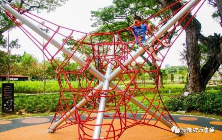 坡岛竟深藏着这样一个有趣的镇!快,马上告诉身边的人~