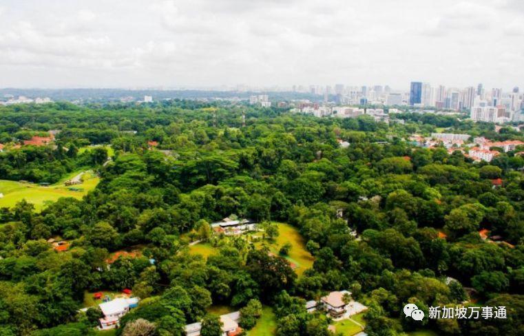 坡岛竟深藏着这样一个有趣的镇!快,马上告诉身边的人~