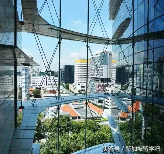 新加坡国家图书馆也搞副业,当年让我爱上读书的它居然要吓死人……